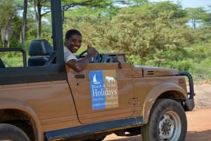 De Zanzibar: Safári de um dia no Selous sem serviço de busca no hotel