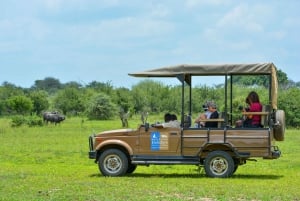 Sansibarilta: Selous Game Reserve päiväsafari lentojen kanssa