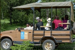 Vanuit Zanzibar: Selous wildreservaat dagsafari met vluchten