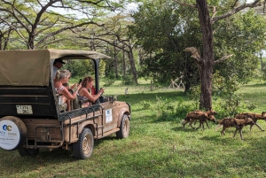 Fra Zanzibar: Selous Game Reserve dagssafari med fly