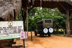 From Zanzibar: Selous Game Reserve Day Safari with Flights