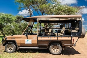 From Zanzibar: Selous Game Reserve Day Safari with Flights