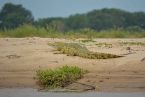 From Zanzibar: Selous Game Reserve Day Safari with Flights