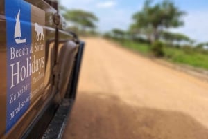 From Zanzibar: Selous Game Reserve Day Safari with Flights