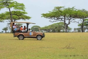 From Zanzibar: Selous Game Reserve Day Safari with Flights