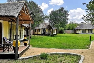 Au départ de Zanzibar : safari d'une journée dans la réserve animalière de Selous