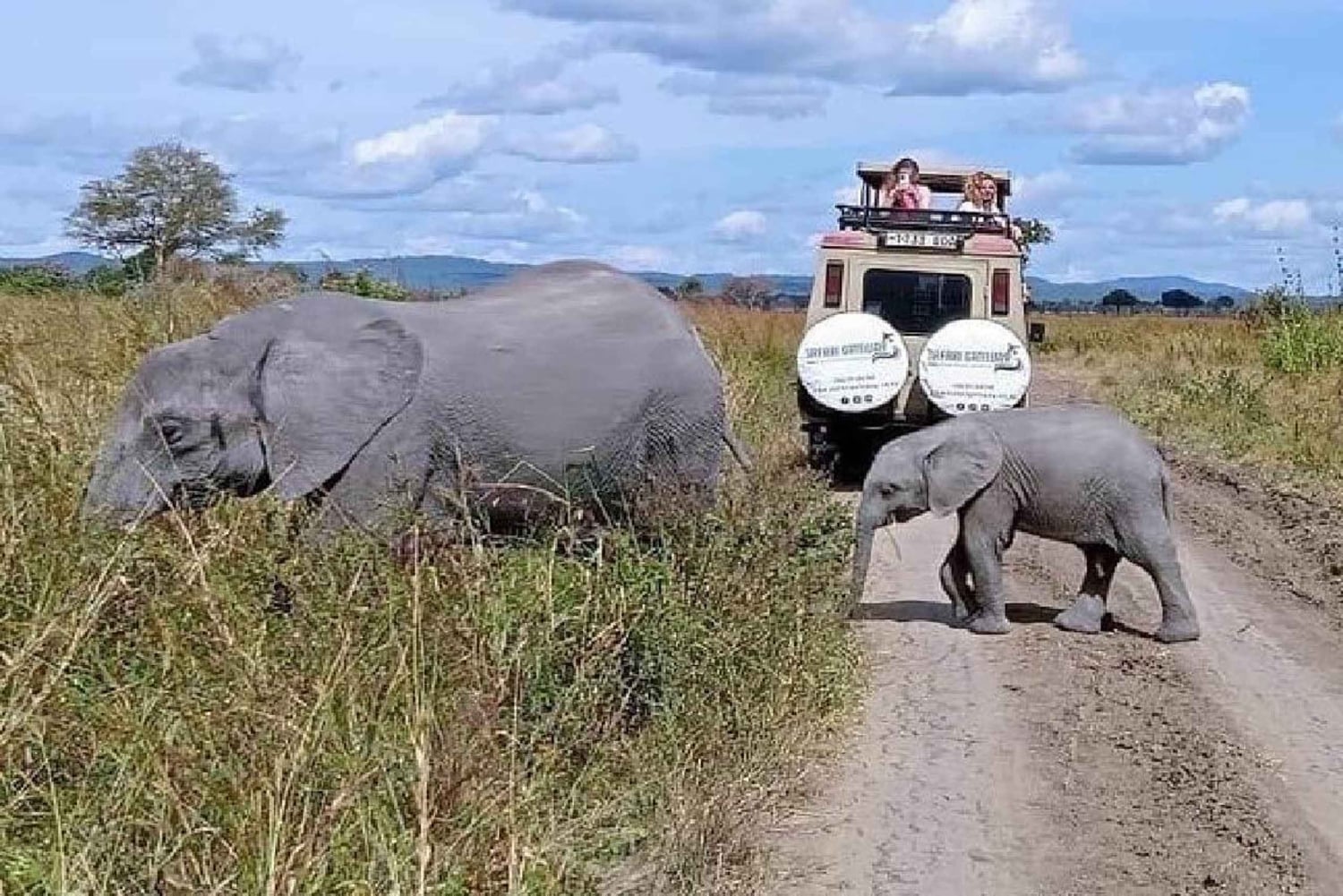 Из Занзибара: экскурсия на ферму специй, в лес Джозани и пещеру Куза