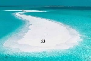 Из Занзибара: экскурсия на ферму специй, в лес Джозани и пещеру Куза