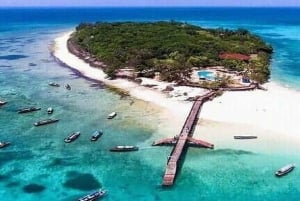 Из Занзибара: экскурсия на ферму специй, в лес Джозани и пещеру Куза