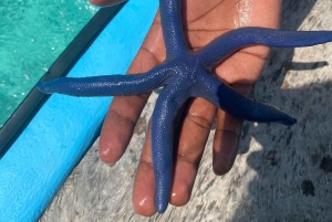 PINGWE: Starfish, Blue Lagoon, Snorkel & THE ROCK RESTAURANT