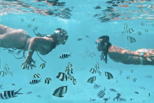 PINGWE: Starfish, Blue Lagoon, Snorkel & THE ROCK RESTAURANT