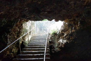 Gita di un giorno alla Laguna Blu e al banco di sabbia da Zanzibar (Safari blu)