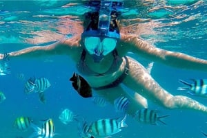 Gita di un giorno alla Laguna Blu e al banco di sabbia da Zanzibar (Safari blu)