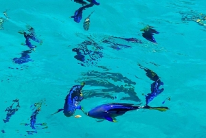 Full-Day Blue Lagoon & Sandbank from Zanzibar (Safari blue)