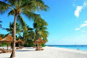 Full Day-Dolphin tour and Mnemba island
