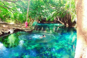 Full Day-Dolphin tour and Mnemba island
