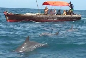 Excursão de 1 dia aos golfinhos e mergulho com snorkel em Mnemba com almoço