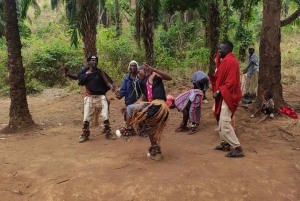 Full day trip in serval wildlife and chemka hotspring.