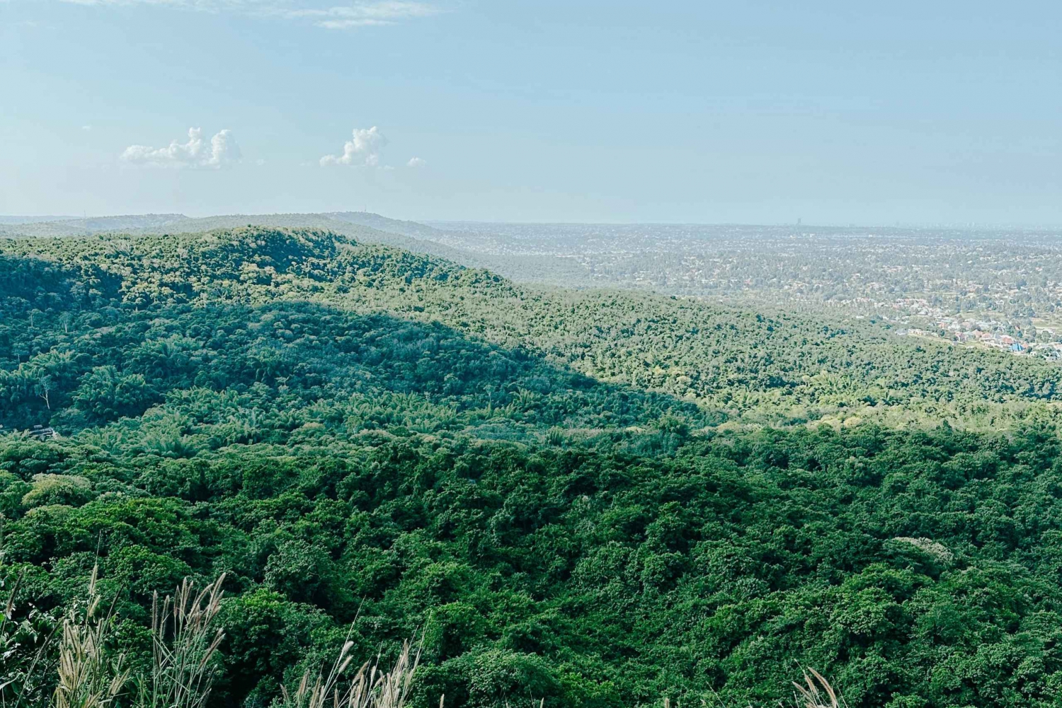 Excursión de un día a la Selva de Pugu desde Dar es Salaam