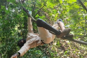 Excursion d'une journée dans la forêt de Pugu au départ de Dar es Salaam