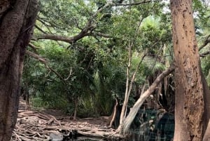 Full day visit to hotsprings, waterfalls and coffee tour