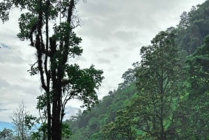 Full day visit to hotsprings, waterfalls and coffee tour