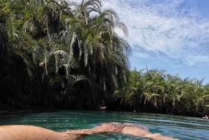 Full day visit to hotsprings, waterfalls and coffee tour