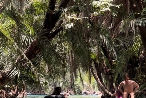 Full day visit to hotsprings, waterfalls and coffee tour