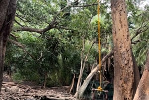 Full day visit to hotsprings, waterfalls and coffee tour