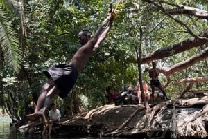 Full day visit to hotsprings, waterfalls and coffee tour