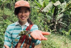 Full day visit to hotsprings, waterfalls and coffee tour