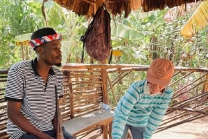 Full day visit to hotsprings, waterfalls and coffee tour