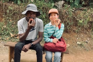 Full day visit to hotsprings, waterfalls and coffee tour