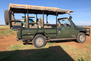 Piratjakt i Amboseli