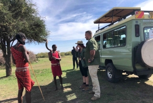 Piratjakt i Amboseli