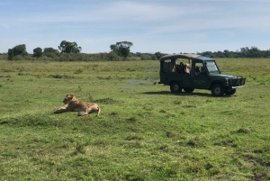 Piratjakt i Amboseli