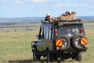 Safari dans le Maasai Mara