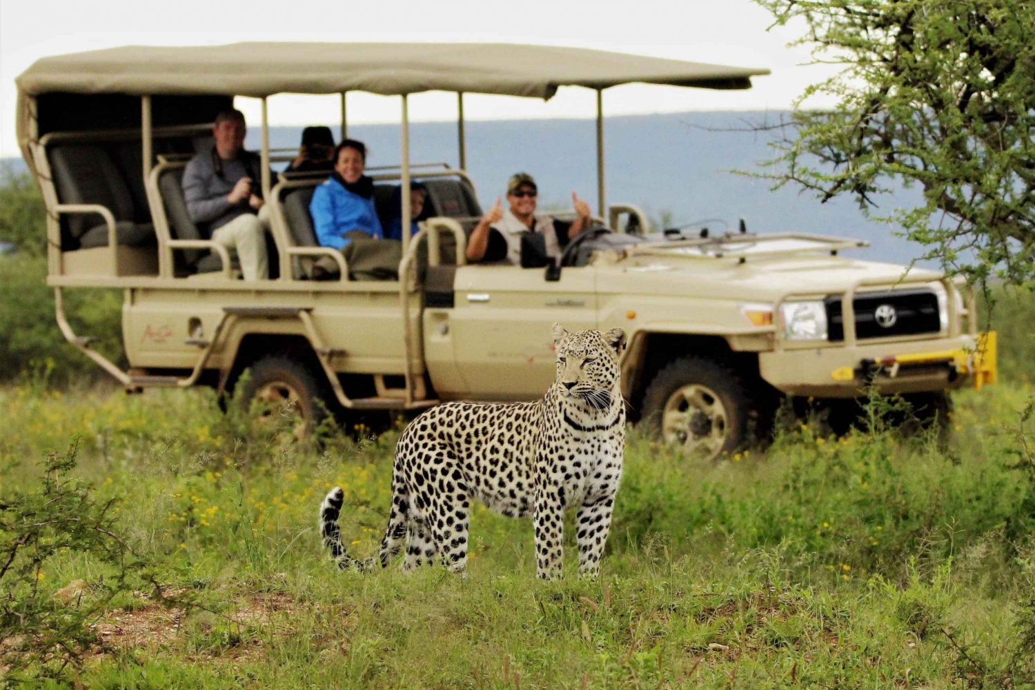 Grootste 5 Daagse Tanzania Lodge Safari