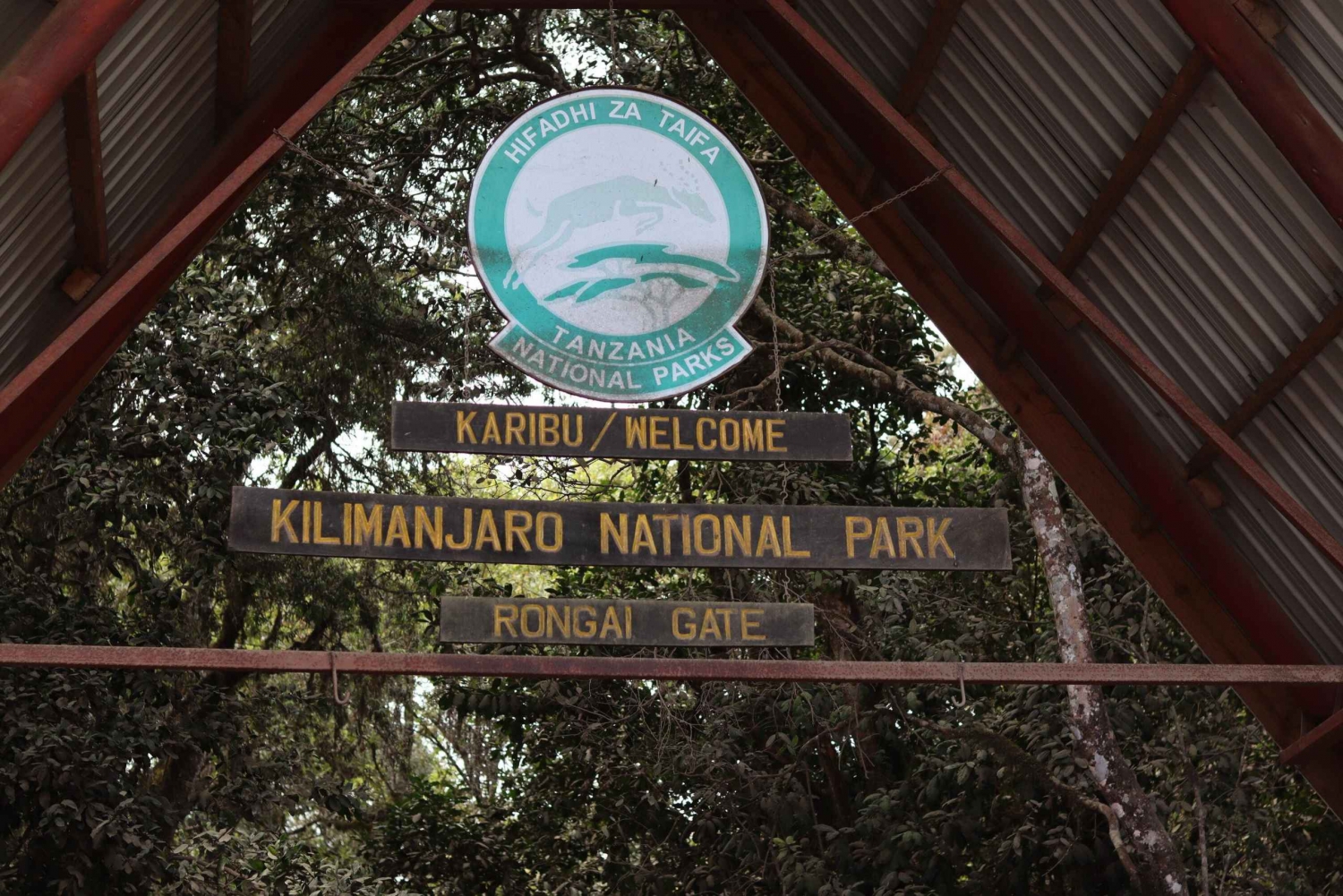 Guided Mount Kilimanjaro 1 Day Hike to Rongai-Kenya to TZ