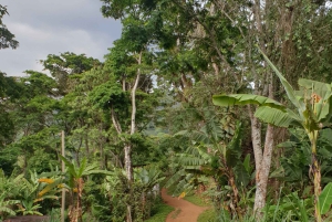 Excursión guiada en bicicleta de montaña por el pueblo de Arusha