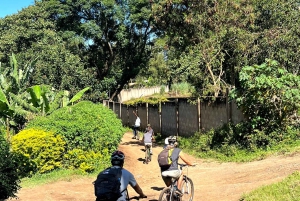 Excursión guiada en bicicleta de montaña por el pueblo de Arusha