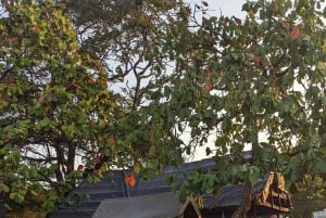 Visite guidée à pied : découvrez le passé et l'avenir de Stone Town
