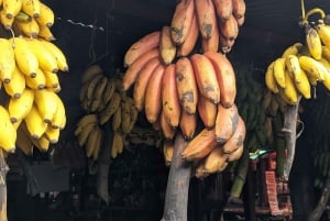 Visite guidée à pied : découvrez le passé et l'avenir de Stone Town