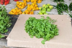 Visite guidée à pied : découvrez le passé et l'avenir de Stone Town