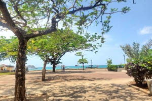 History stone town walking tour and shopping