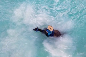 Horse Riding and Mangapwani Coral Cave Private Tour