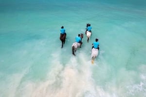 Horse Riding and Mangapwani Coral Cave Private Tour