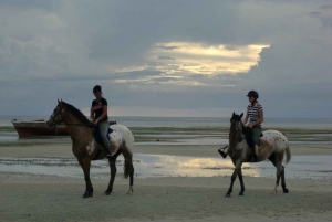 Zanzibar: excursão particular de dia inteiro com passeios a cavalo