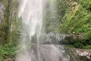 温泉または滝＆キングストン・アシリア・コーヒーツアー