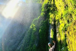 温泉または滝＆キングストン・アシリア・コーヒーツアー